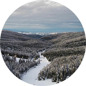 SLO - Rogla